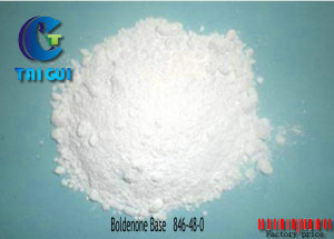 Bodybuilding Cutting Cycle Steroids Powder / Dehydrotestosterone